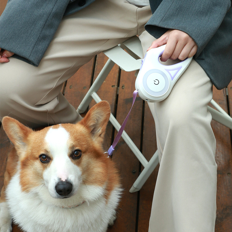 Dog Leash Retractable Leash And Dog Collar Spotlight Automatic Pet Dog Cat Traction Rope For Small Medium Dogs Pet Product — view 13