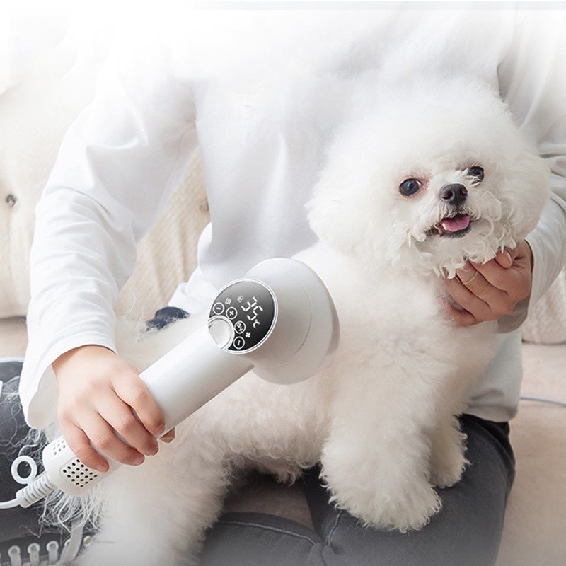 Smart Pet Hair Dryer Dog Golden Retriever Cat Grooming Hairdressing Blow & Comb Silent No Harm Pet Cleaning Supplies Pet Products — view 3