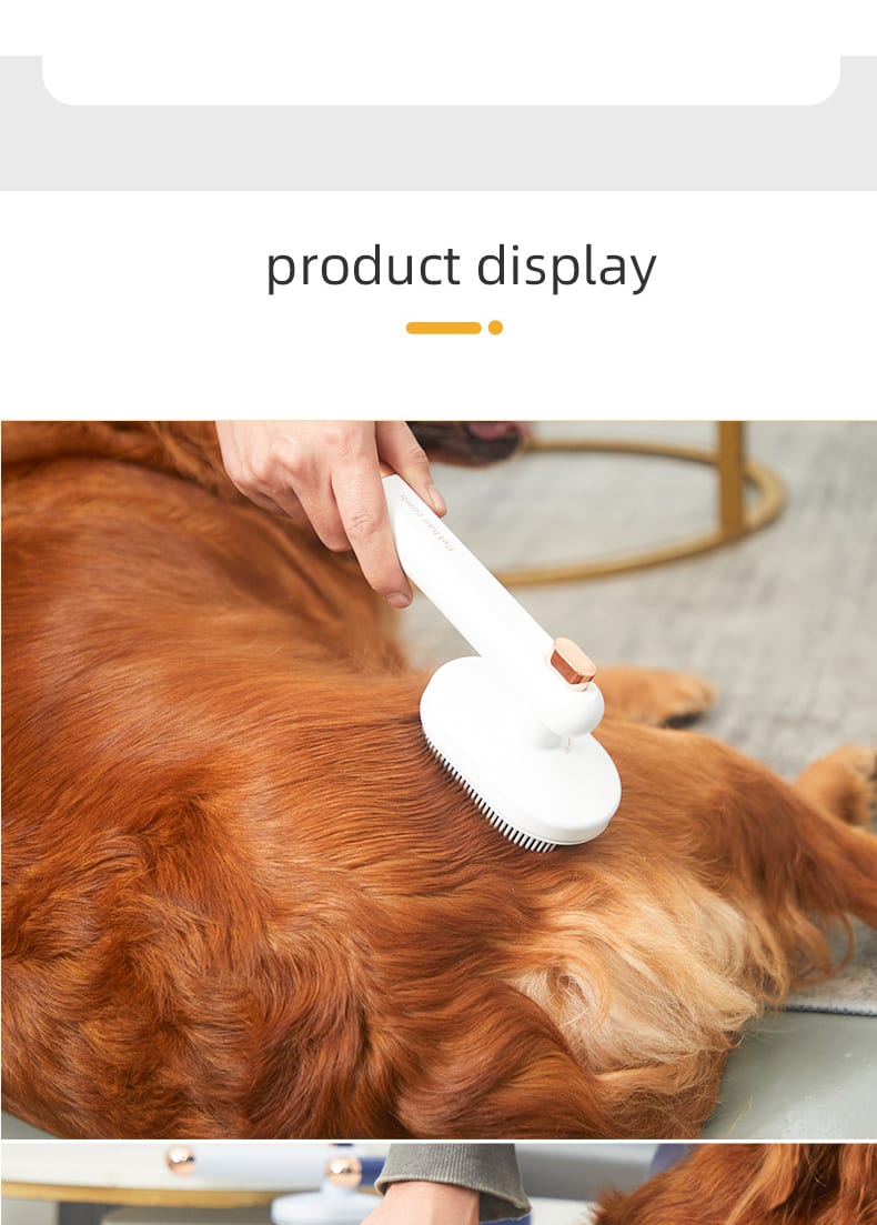 Product detail 10