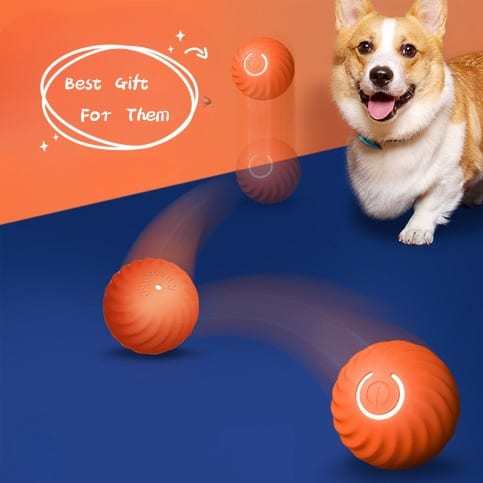 Pet Dog Rubber Ball Toys For Dogs Resistance To Bite Dog Chew Toys Puppy Pets Dogs Training Products — view 11
