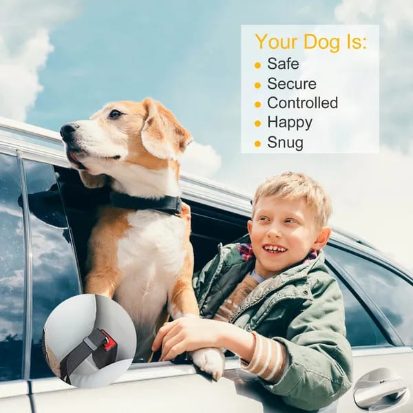 2Pcs Pet Dog Seat Belt Leash Adjustable Pet Dog Cat Safety Leads Harness — view 4