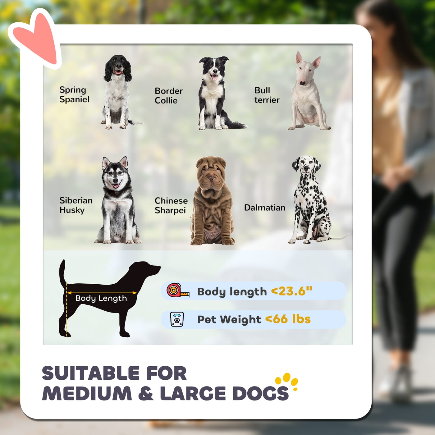 One-Click Foldable Dog Stroller for M, L Dogs, Pet Stroller, Black — view 2