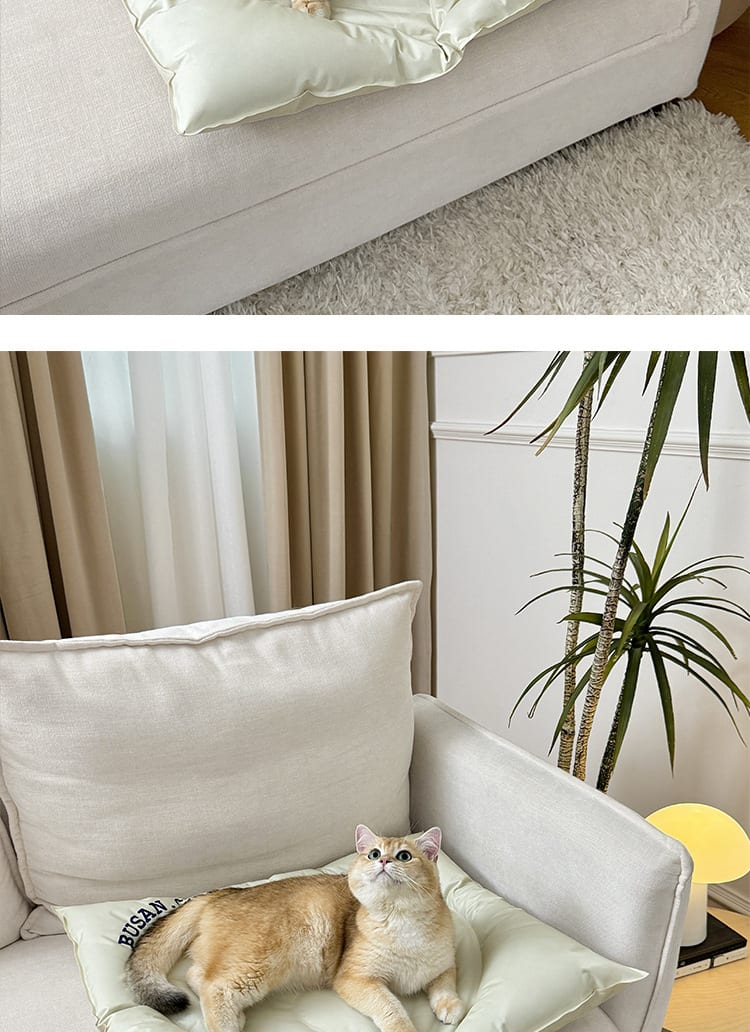 Product detail 5
