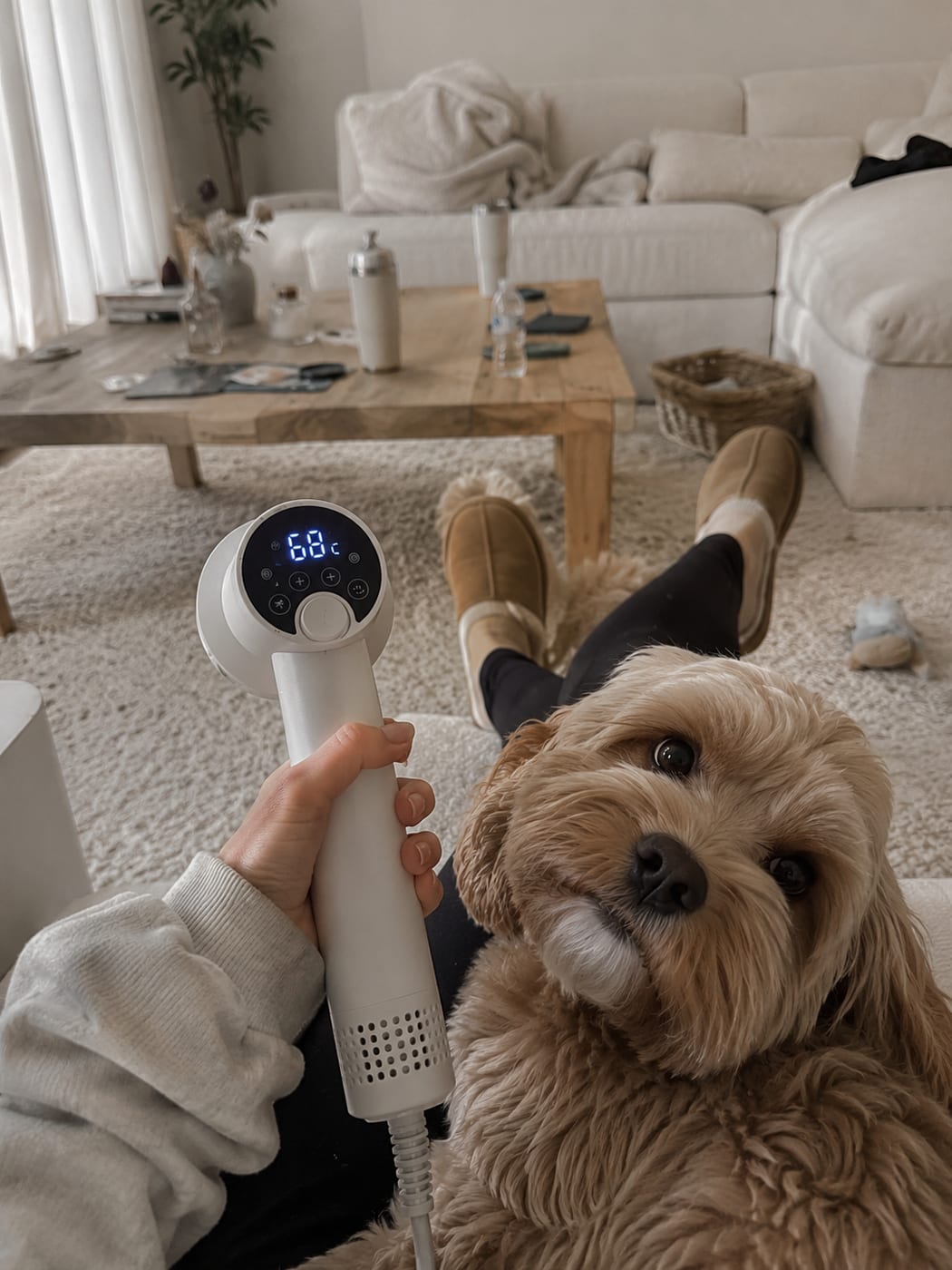 2-in-1 Pet Grooming Dryer Brush | Silent Hair Dryer & Comb for Dogs & Cats — view 9